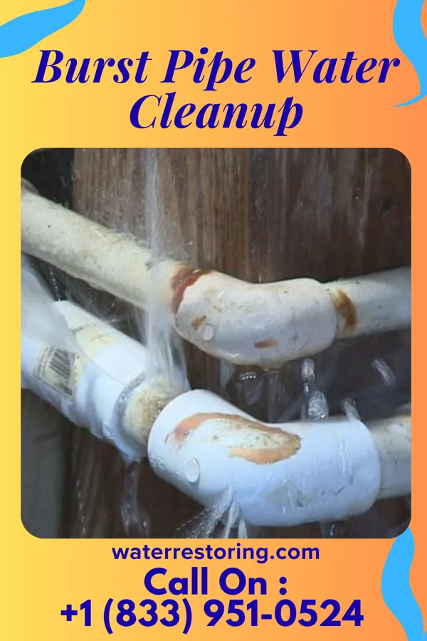 Burst Pipe Water Cleanup in Eudora, MS