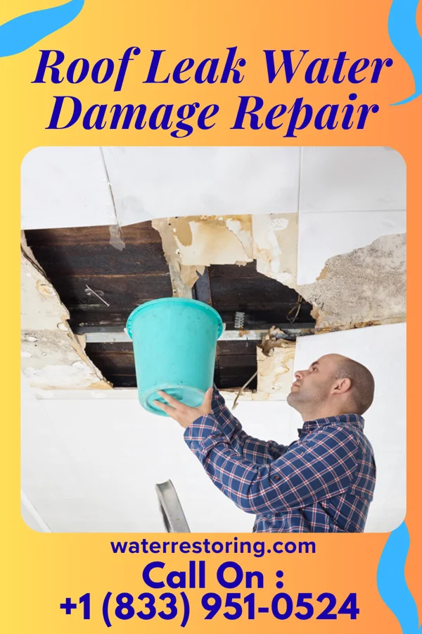 Roof Leak Water Damage Repair in Eudora, MS