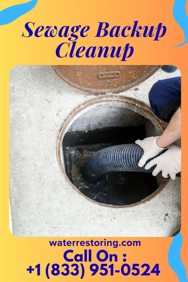 Sewage Backup Cleanup in Eudora, MS